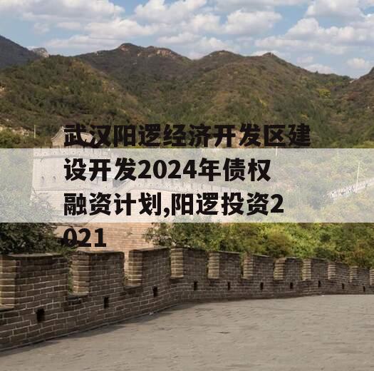 武汉阳逻经济开发区建设开发2024年债权融资计划,阳逻投资2021