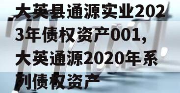 大英县通源实业2023年债权资产001,大英通源2020年系列债权资产