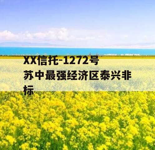 XX信托-1272号苏中最强经济区泰兴非标