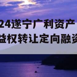 2024遂宁广利资产收益权转让定向融资计划