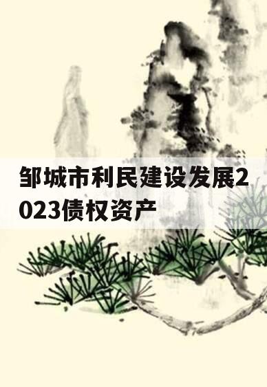 邹城市利民建设发展2023债权资产