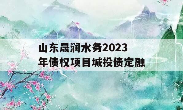 山东晟润水务2023年债权项目城投债定融