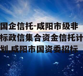 国企信托-咸阳市级非标政信集合资金信托计划,咸阳市国资委招标