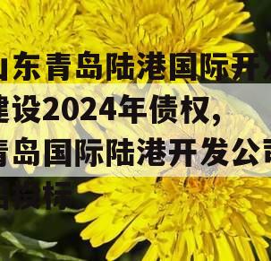 山东青岛陆港国际开发建设2024年债权,青岛国际陆港开发公司招投标