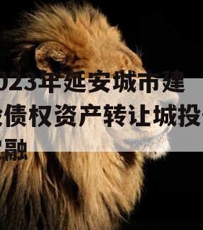 2023年延安城市建投债权资产转让城投债定融
