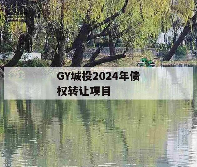 GY城投2024年债权转让项目