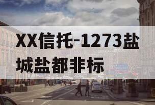 XX信托-1273盐城盐都非标