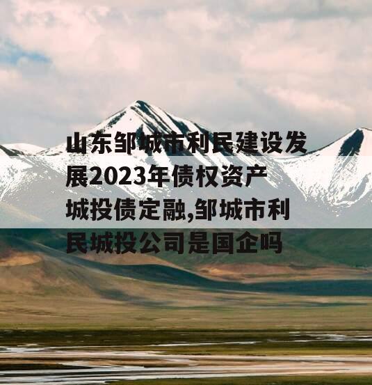 山东邹城市利民建设发展2023年债权资产城投债定融,邹城市利民城投公司是国企吗