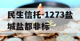 民生信托-1273盐城盐都非标