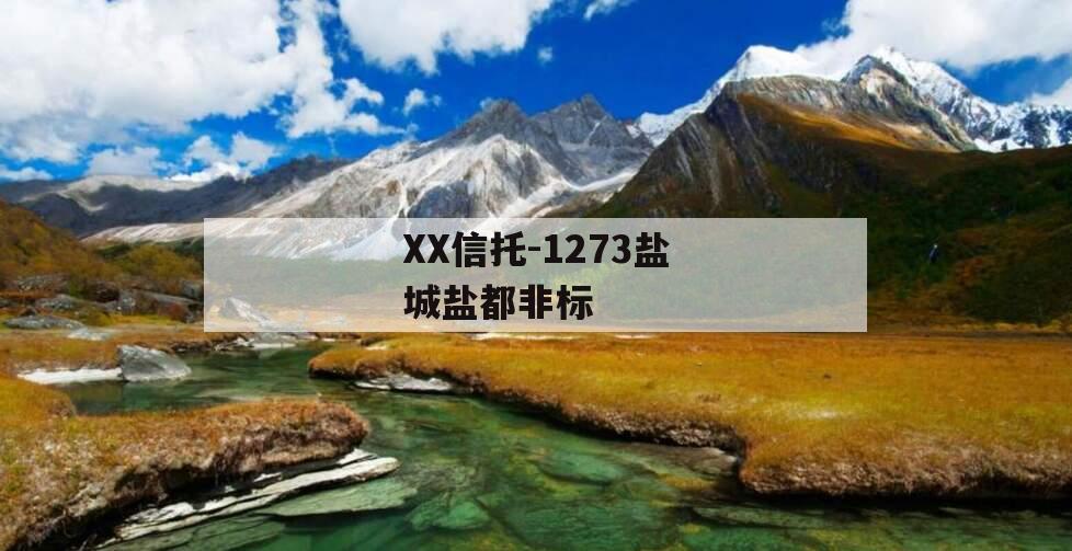 XX信托-1273盐城盐都非标