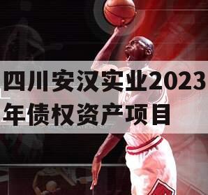 四川安汉实业2023年债权资产项目