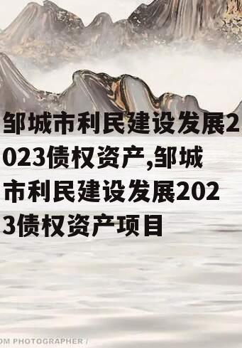 邹城市利民建设发展2023债权资产,邹城市利民建设发展2023债权资产项目