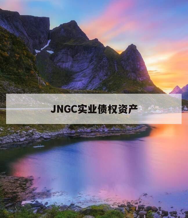 JNGC实业债权资产