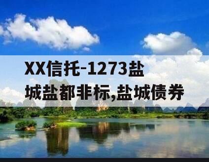 XX信托-1273盐城盐都非标,盐城债券