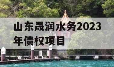 山东晟润水务2023年债权项目