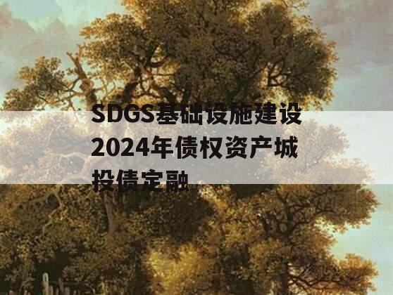 SDGS基础设施建设2024年债权资产城投债定融