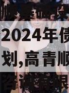 山东高顺基础设施建设政信份2024年债权资产计划,高青顺泰土地信息咨询有限公司