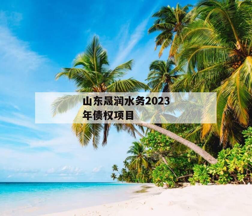 山东晟润水务2023年债权项目