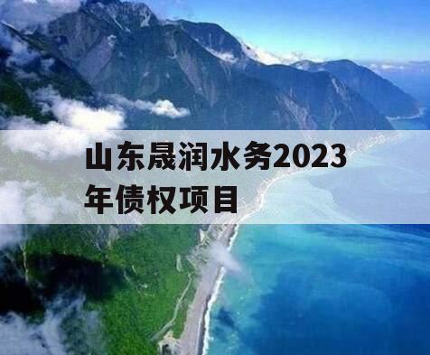 山东晟润水务2023年债权项目