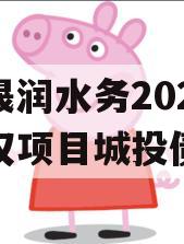 山东晟润水务2023年债权项目城投债定融