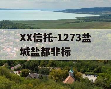 XX信托-1273盐城盐都非标