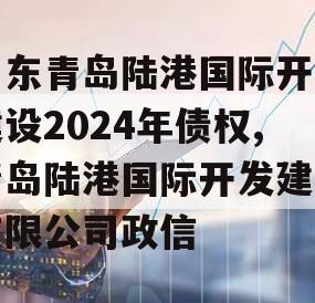 山东青岛陆港国际开发建设2024年债权,青岛陆港国际开发建设有限公司政信