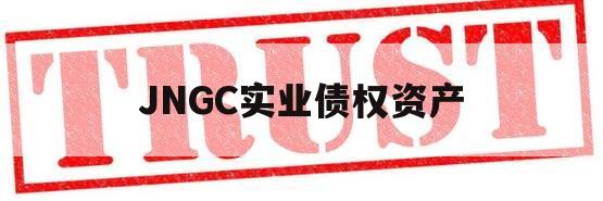 JNGC实业债权资产