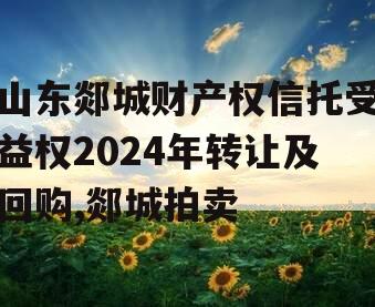 山东郯城财产权信托受益权2024年转让及回购,郯城拍卖