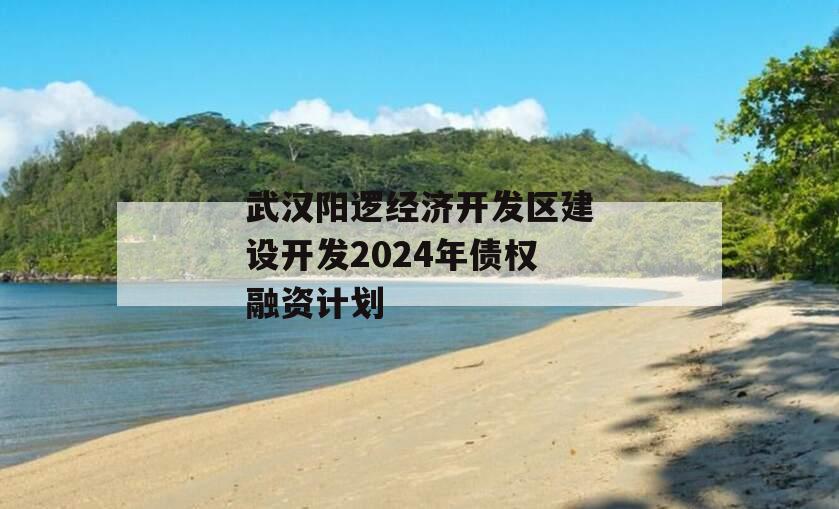 武汉阳逻经济开发区建设开发2024年债权融资计划