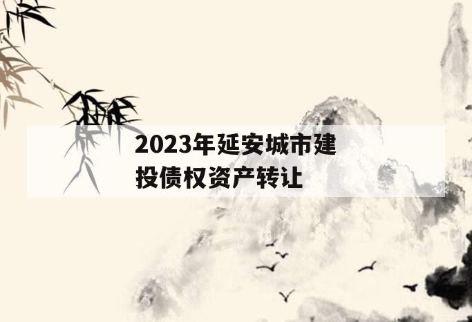 2023年延安城市建投债权资产转让