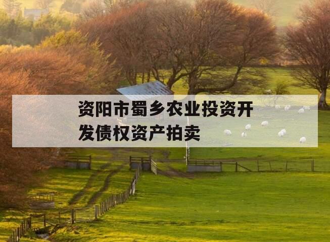 资阳市蜀乡农业投资开发债权资产拍卖