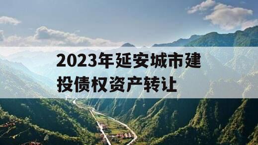 2023年延安城市建投债权资产转让