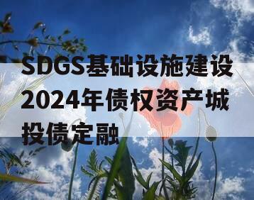 SDGS基础设施建设2024年债权资产城投债定融