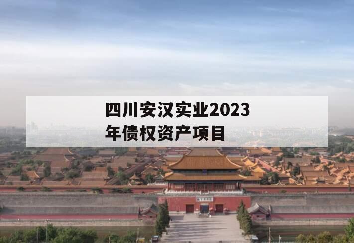 四川安汉实业2023年债权资产项目