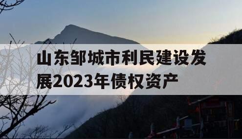 山东邹城市利民建设发展2023年债权资产