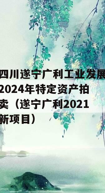 四川遂宁广利工业发展2024年特定资产拍卖（遂宁广利2021新项目）