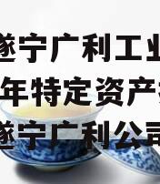 四川遂宁广利工业发展2024年特定资产拍卖（遂宁广利公司）