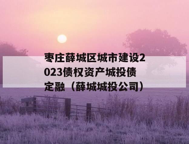 枣庄薛城区城市建设2023债权资产城投债定融（薛城城投公司）