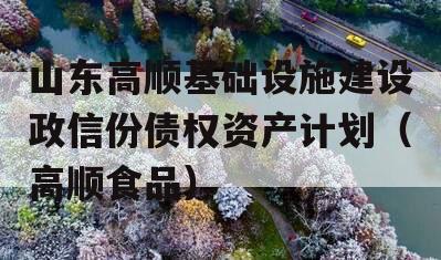 山东高顺基础设施建设政信份债权资产计划（高顺食品）