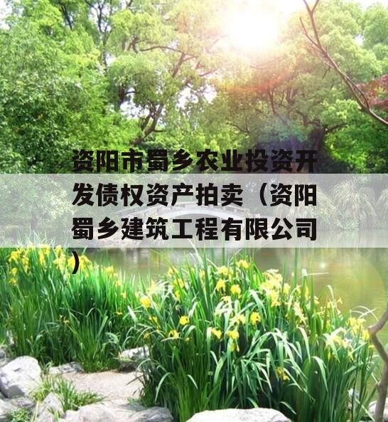 资阳市蜀乡农业投资开发债权资产拍卖（资阳蜀乡建筑工程有限公司）