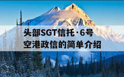 头部SGT信托·6号空港政信的简单介绍