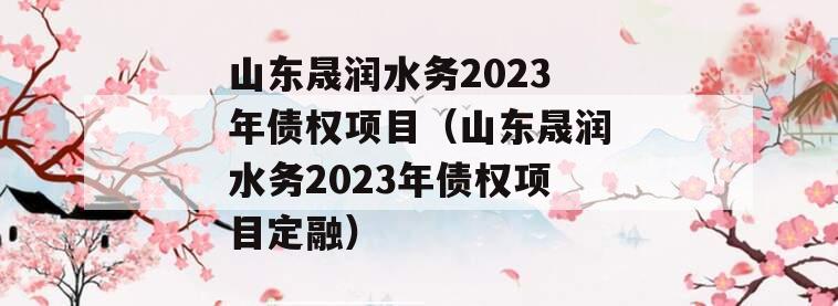 山东晟润水务2023年债权项目（山东晟润水务2023年债权项目定融）