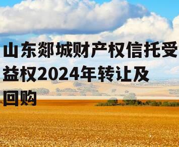 山东郯城财产权信托受益权2024年转让及回购