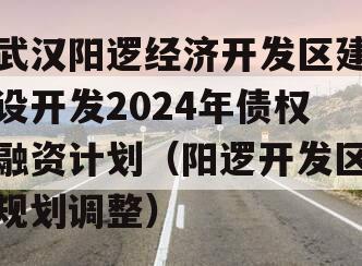 武汉阳逻经济开发区建设开发2024年债权融资计划（阳逻开发区规划调整）