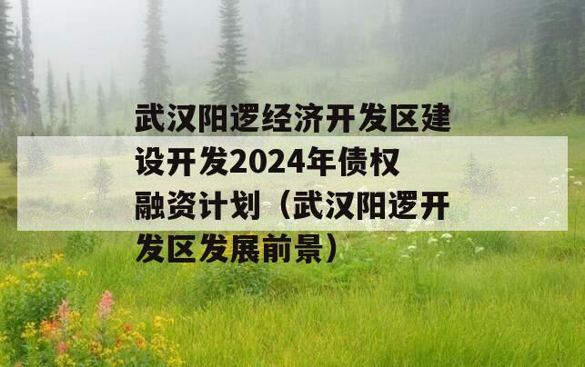 武汉阳逻经济开发区建设开发2024年债权融资计划（武汉阳逻开发区发展前景）