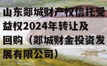 山东郯城财产权信托受益权2024年转让及回购（郯城财金投资发展有限公司）