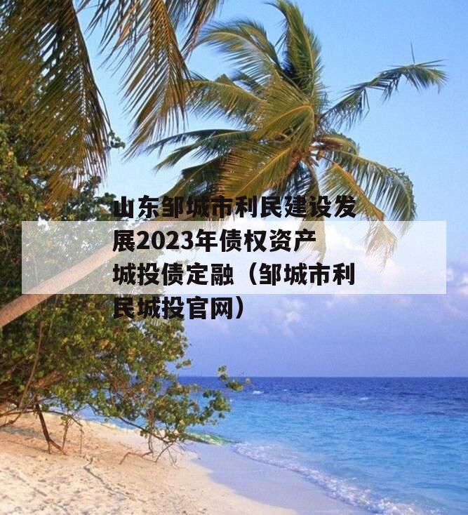 山东邹城市利民建设发展2023年债权资产城投债定融（邹城市利民城投官网）