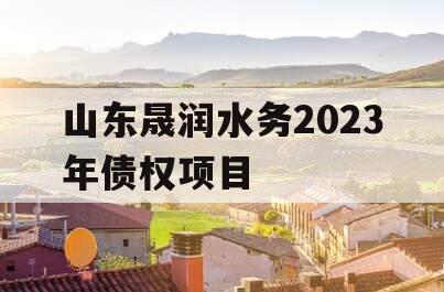 山东晟润水务2023年债权项目