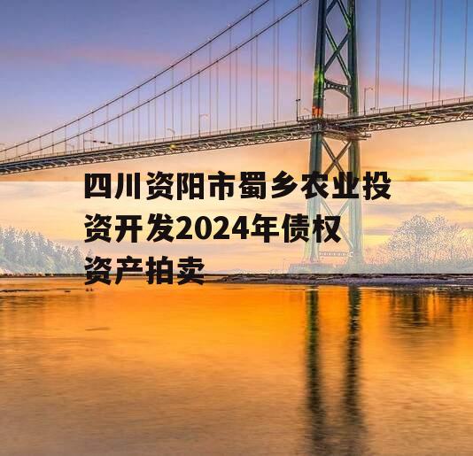 四川资阳市蜀乡农业投资开发2024年债权资产拍卖