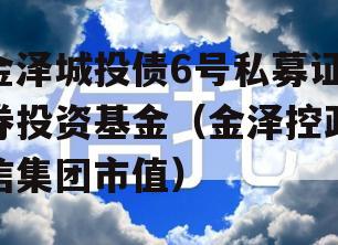 金泽城投债6号私募证券投资基金（金泽控政信集团市值）